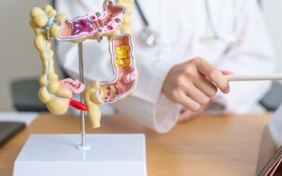 Colon et rectum : comprendre, prévenir et agir pour votre santé digestive