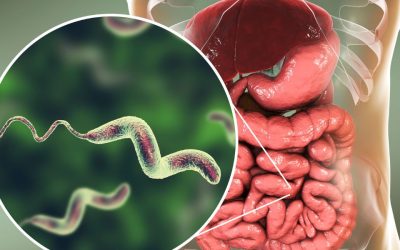 Diu mici et votre confort digestif, un sujet qui mérite votre attention