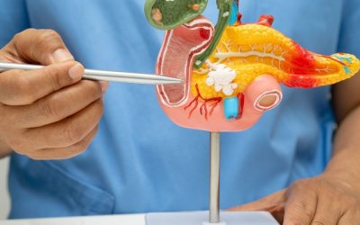 Tumeurs neuroendocrines du pancréas : comprendre, agir et avancer avec confiance