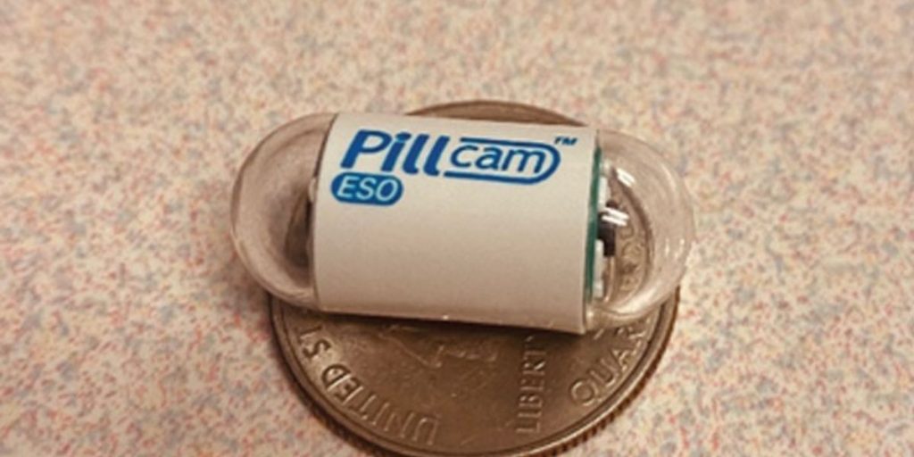 vidéo capsule du grêle