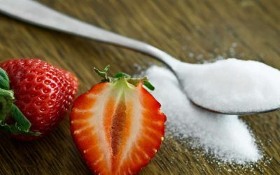 Dessert faible en sucre : quelles recettes gourmandes adopter sans excès ?