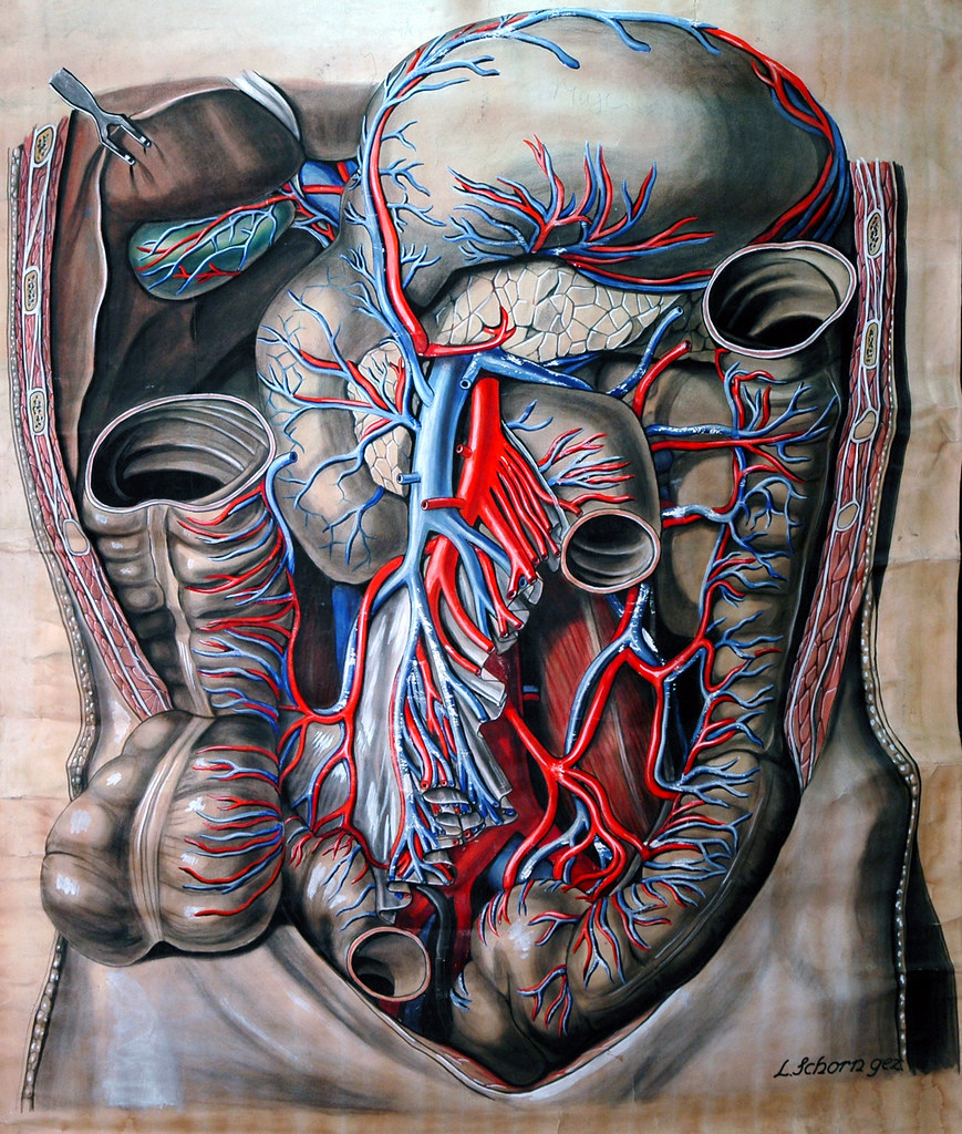 Fibroscopie et endoscopie