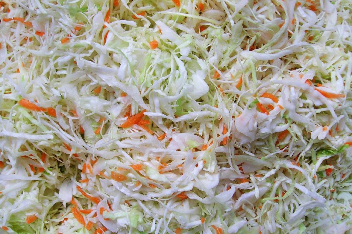 Aliments fermentés recommandés pour la santé intestinale