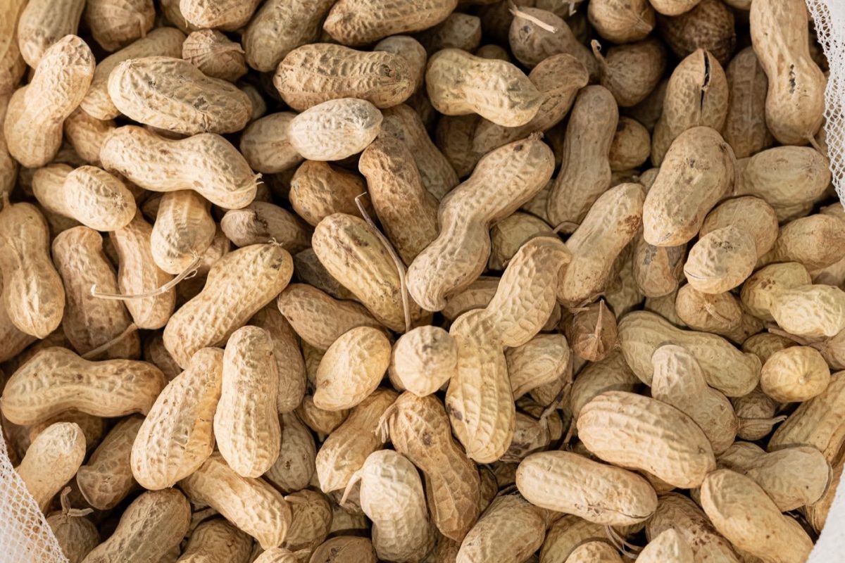 10 aliments riches en magnésium qui aident le transit
