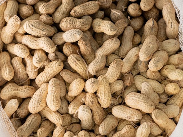 10 aliments riches en magnésium qui aident le transit