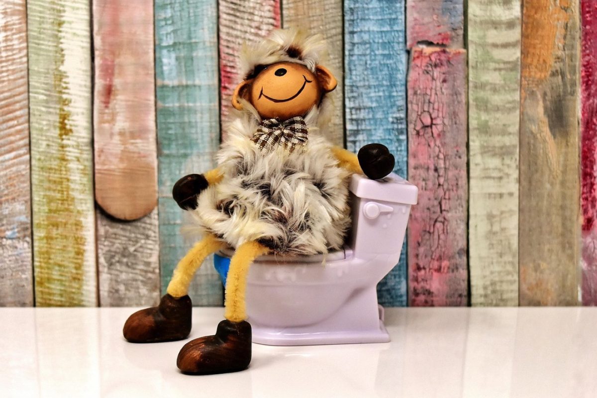 Fibres solubles ou insolubles : choisir contre la constipation