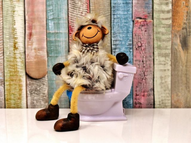 Fibres solubles ou insolubles : choisir contre la constipation
