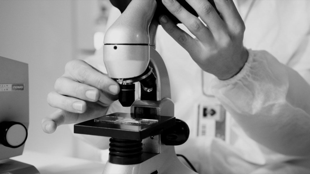 Microbiote intestinal et performance sportive