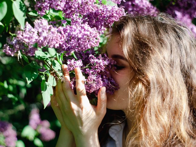 Stratégies pour Prévenir les Allergies Saisonnières