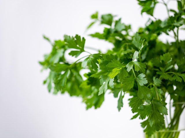 Guide pratique : timing des repas autour de l&rsquo;entraînement